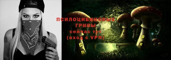 кокс Пестово