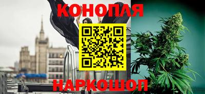 мяу мяу мука Гагарин