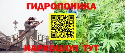 мяу мяу мука Гагарин