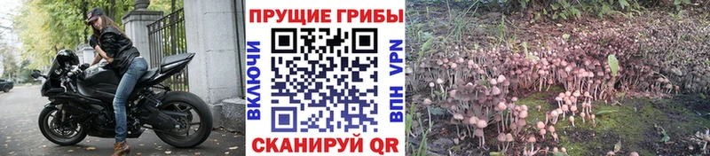 Псилоцибиновые грибы MAGIC MUSHROOMS  что такое   Кореновск 