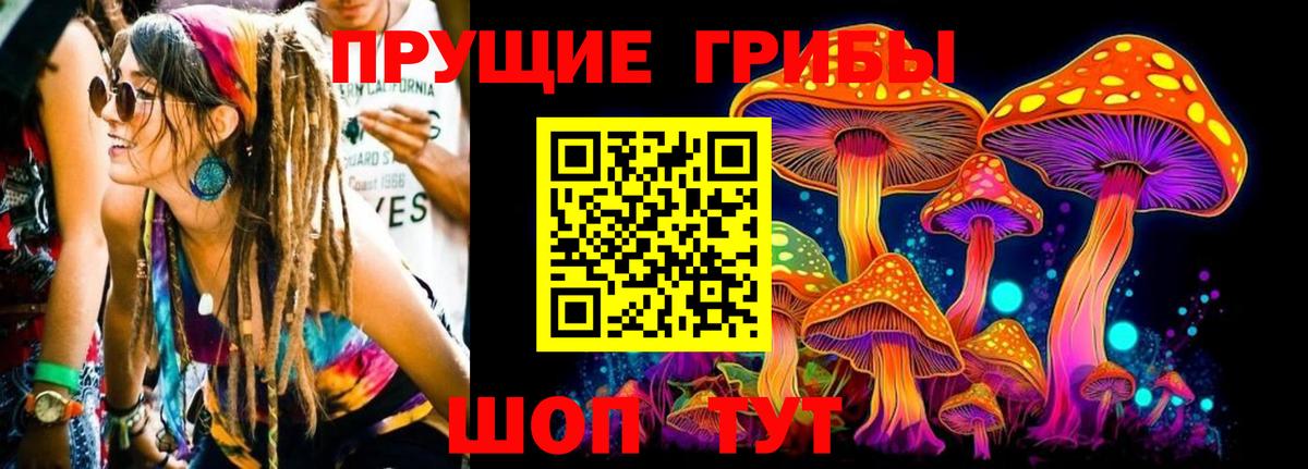 Кореновск  Галлюциногенные грибы Psilocybine cubensis  Вход с VPN  Псилоцибиновые грибы MAGIC MUSHROOMS 