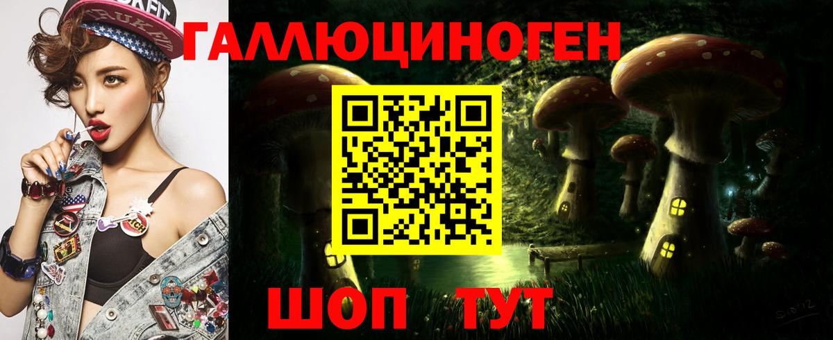 Псилоцибиновые грибы Cubensis Кореновск